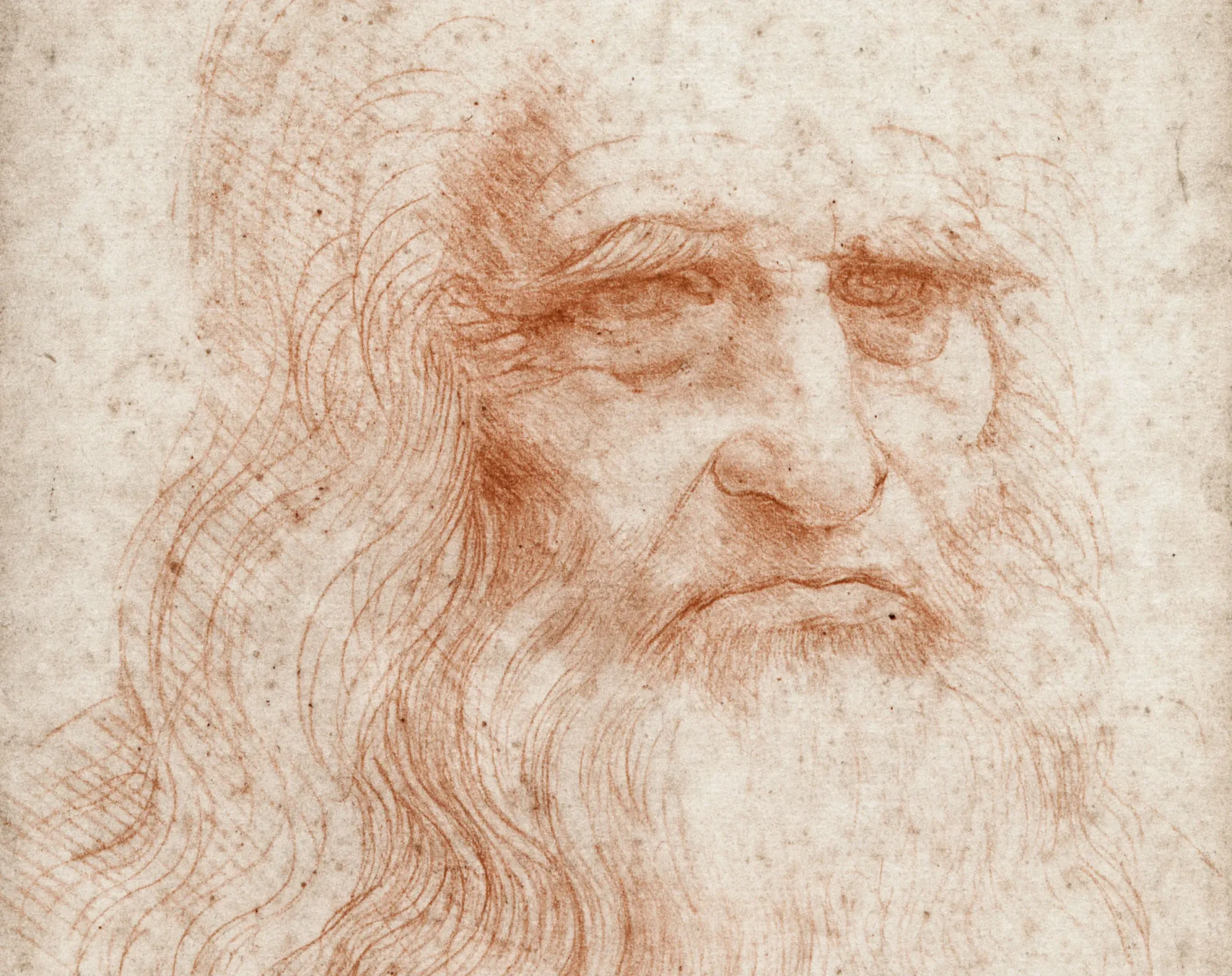 leonardo da vinci