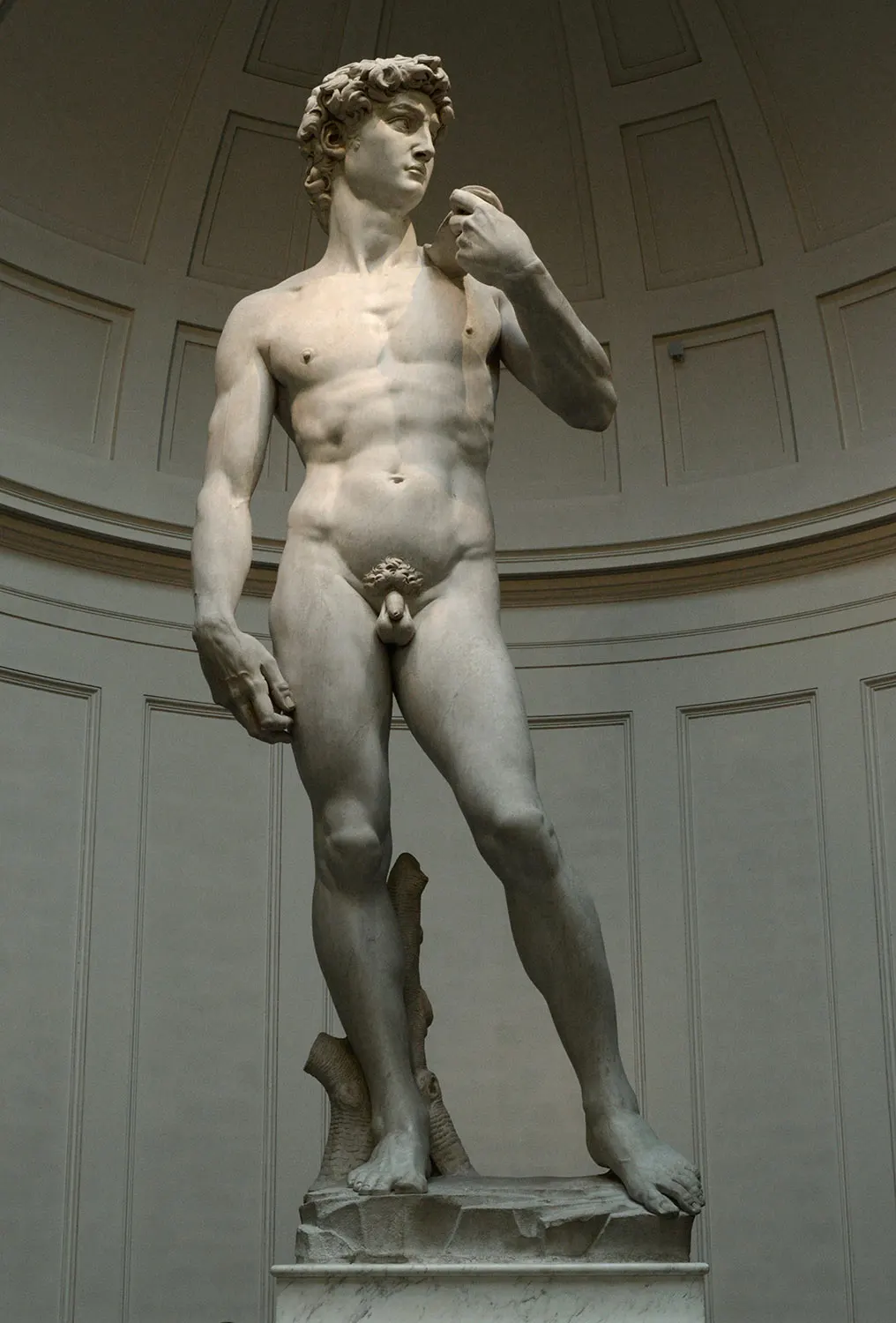 michelangelo il david2